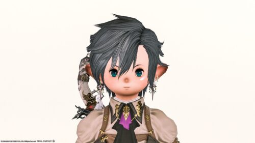 img_1823 ララフェル FF14ブログ Norirow Note 20