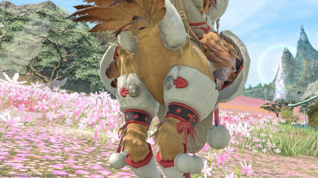 Chocobo armor “Highland Barding” that was warm and cute | Norirow Note ...