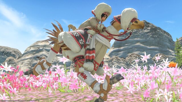 Chocobo armor “Highland Barding” that was warm and cute | 【FF14】Norirow ...