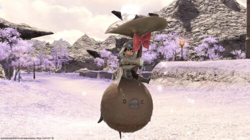 Japanese Lawson “FFXIV Manchoco” Campaign Mount “Chocorpokkur” | 【FF14 ...