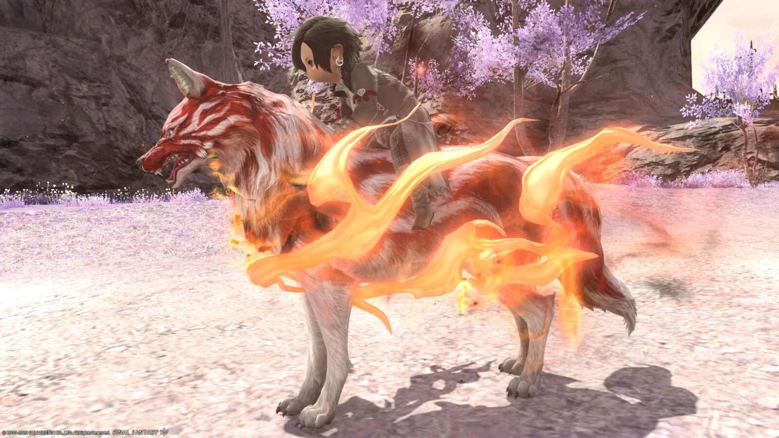 赤い炎の犬神様 極朱雀征魂戦マウント 朱のカムイ Norirow Note エオルゼア戦記 Ff14ブログ