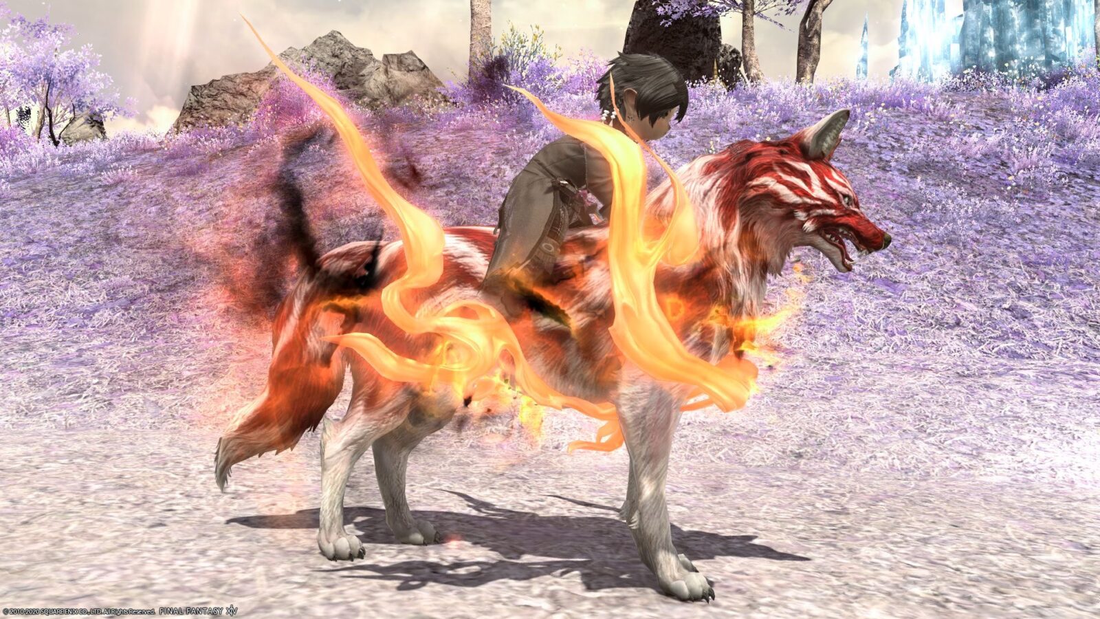 赤い炎の犬神様 極朱雀征魂戦マウント 朱のカムイ Ff14ブログ Norirow Note エオルゼア戦記