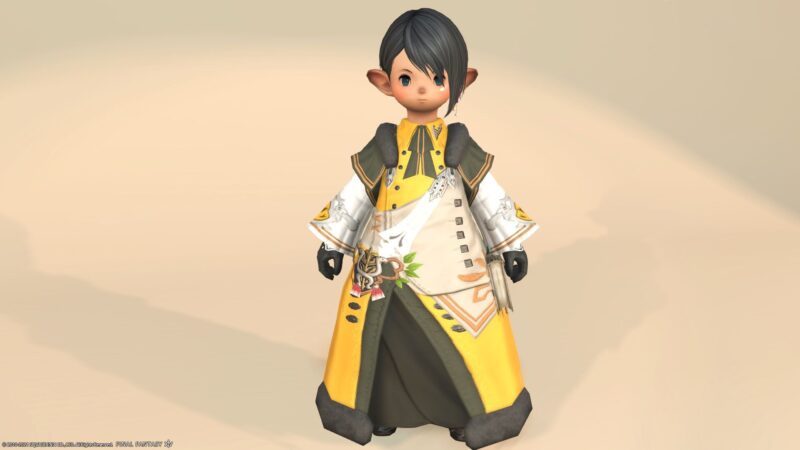 ミラプリ 全ジョブ着られる グリダニアンルテナン コート で黒衣森の双蛇党上級士官 Ff14 Blog Norirow Note