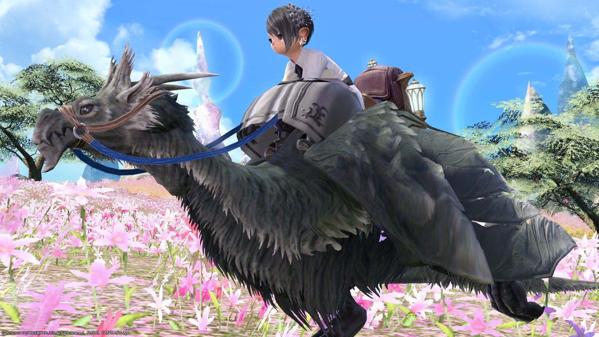 All battle job Lv80 complete reward mount / Flying beast with a gentle and ...