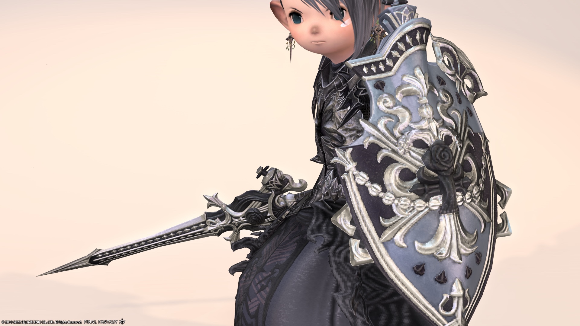 ff14 Paladin