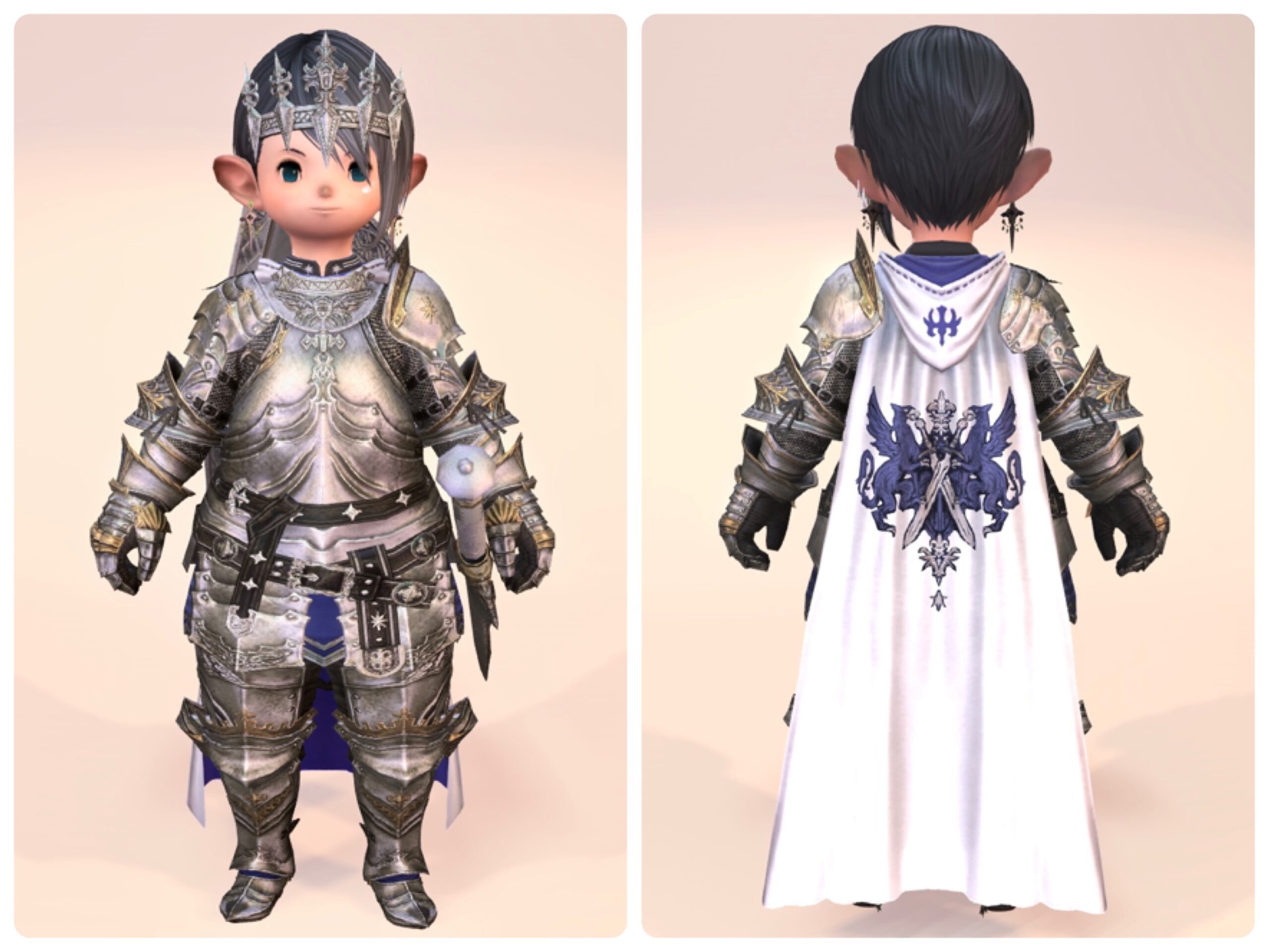 ff14 Paladin