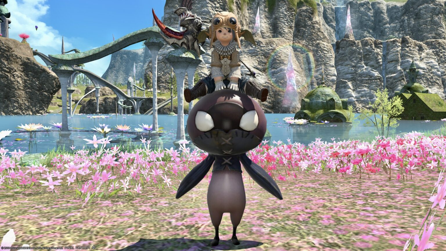 The island sanctuary’s angry face eggplant mount “Island Eggplant