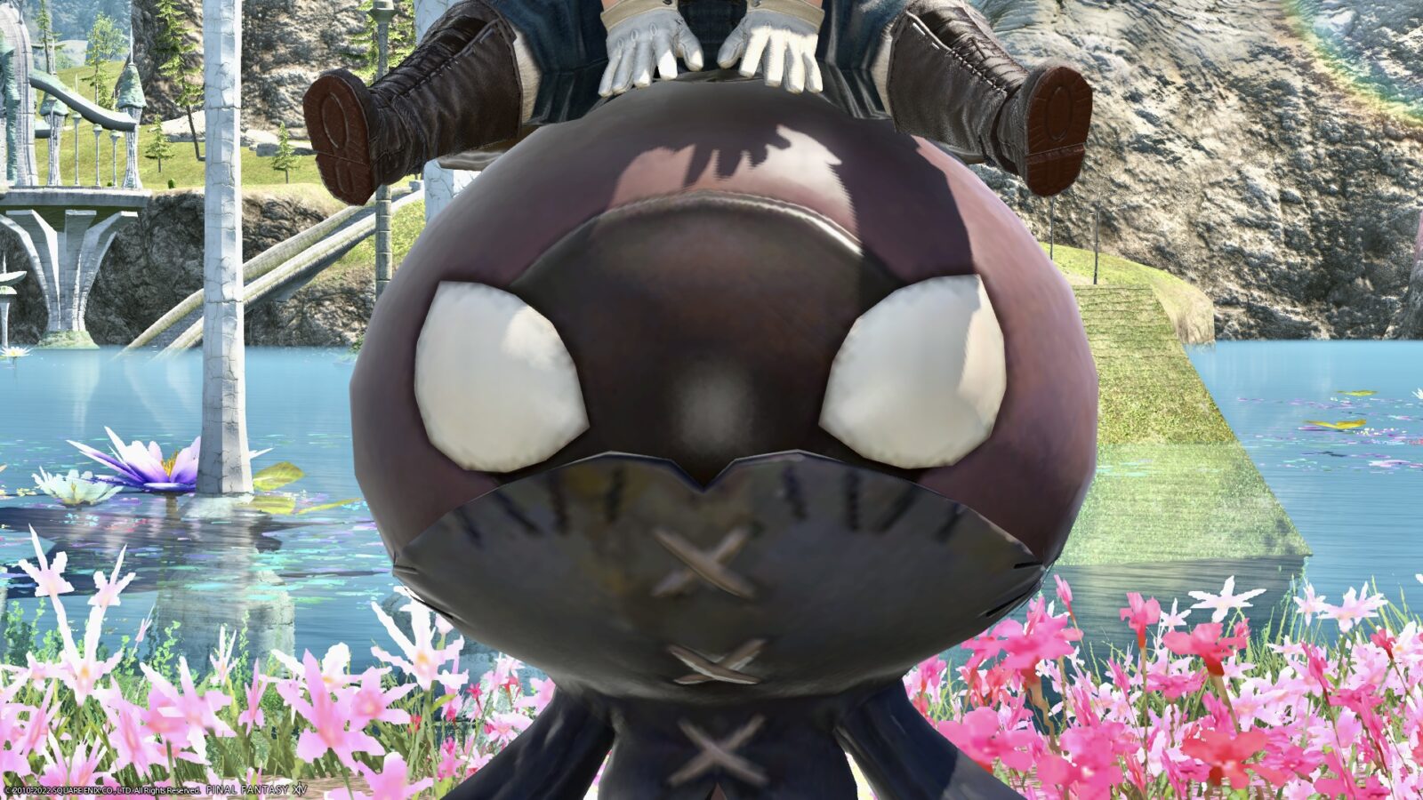 The island sanctuary’s angry face eggplant mount “Island Eggplant