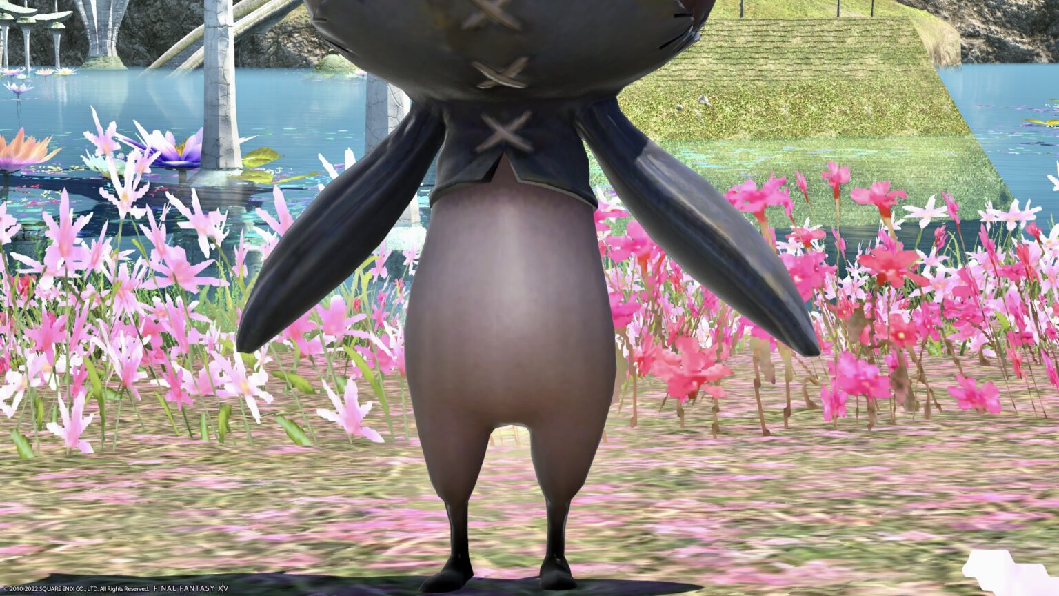The island sanctuary’s angry face eggplant mount “Island Eggplant