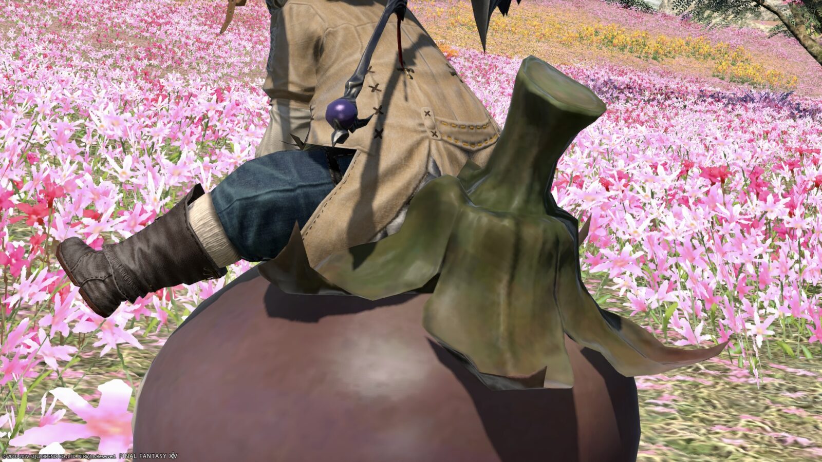 The island sanctuary’s angry face eggplant mount “Island Eggplant