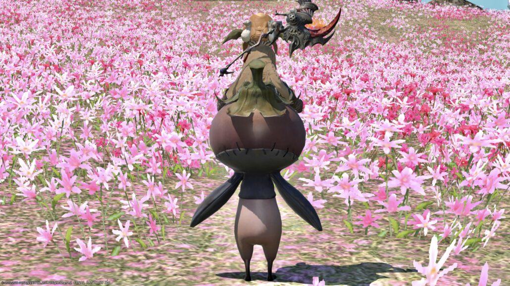 The island sanctuary’s angry face eggplant mount “Island Eggplant