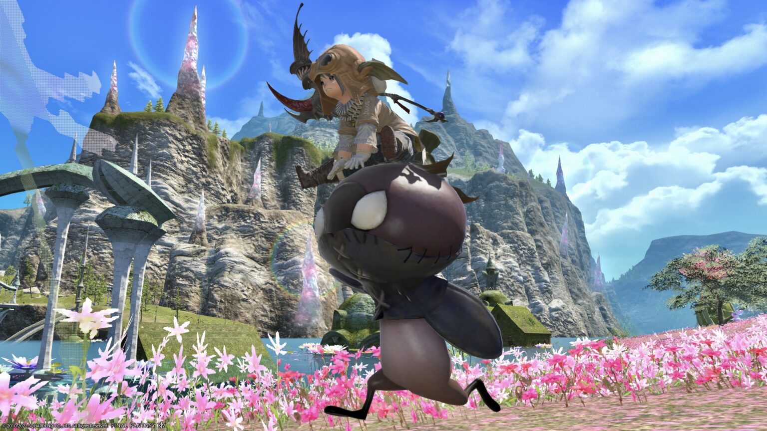 The island sanctuary’s angry face eggplant mount “Island Eggplant