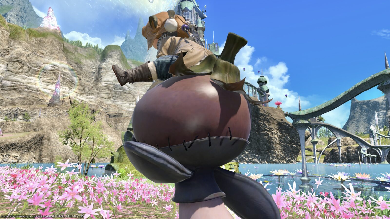 The island sanctuary’s angry face eggplant mount “Island Eggplant
