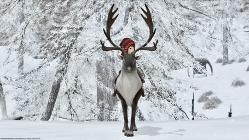 img_6688 ララフェル FF14ブログ Norirow Note 20