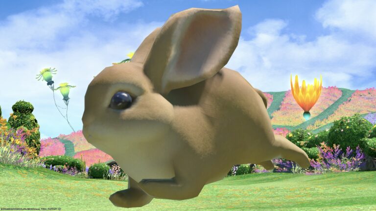 Is the model Peter Rabbit? Baby rabbit's cute minion "Dwarf Rabbit" Lalafell FF14 Blog Norirow Note 33