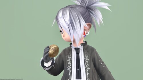 img_7447 ララフェル FF14ブログ Norirow Note 20