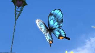 A very cute blue butterfly minion Morpho with the name of a goddess