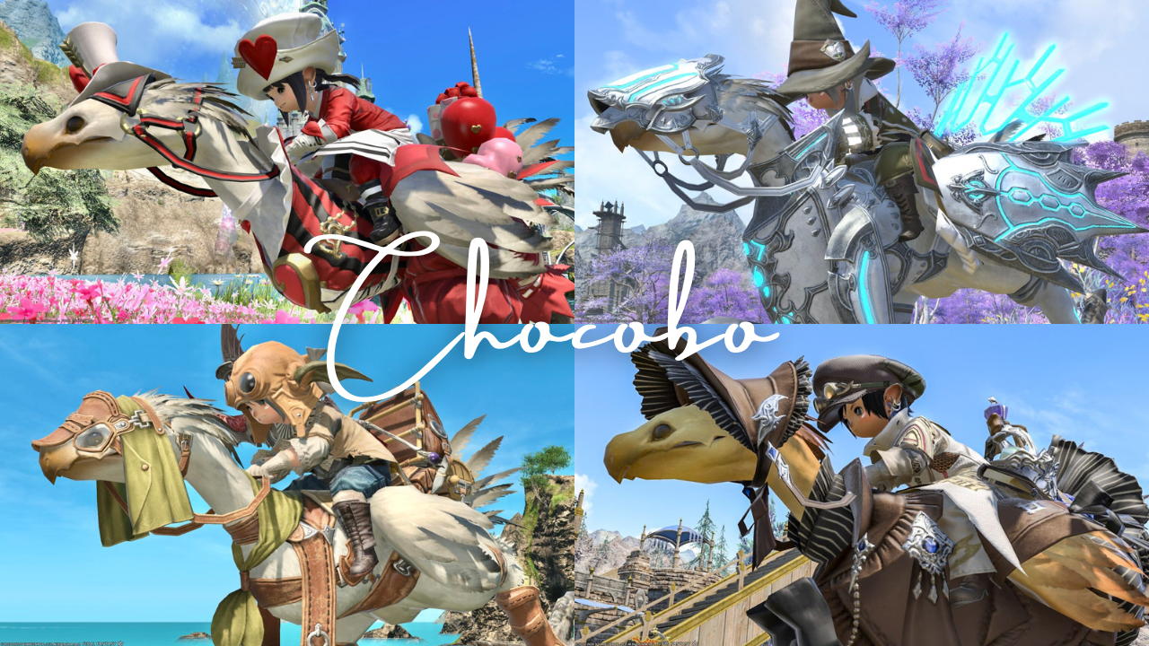 Chocobo Barding