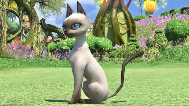 Noble and cute Siamese cat minion with blue eyes "Nagxian Cat" Lalafell FF14 Blog Norirow Note 37