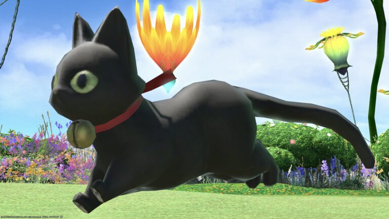 Exceptionally cute black cat minion "Black Coeurl" Lalafell FF14 Blog Norirow Note 28