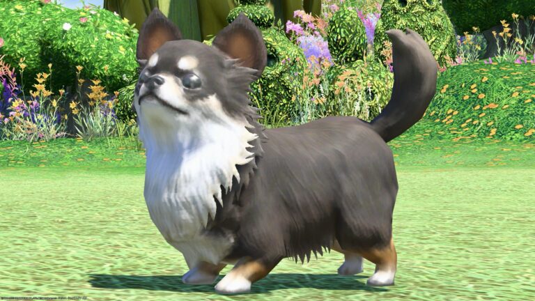 The ultimate cute Chihuahua puppy Minion with round eyes♪ "Chewy" Lalafell FF14 Blog Norirow Note 30