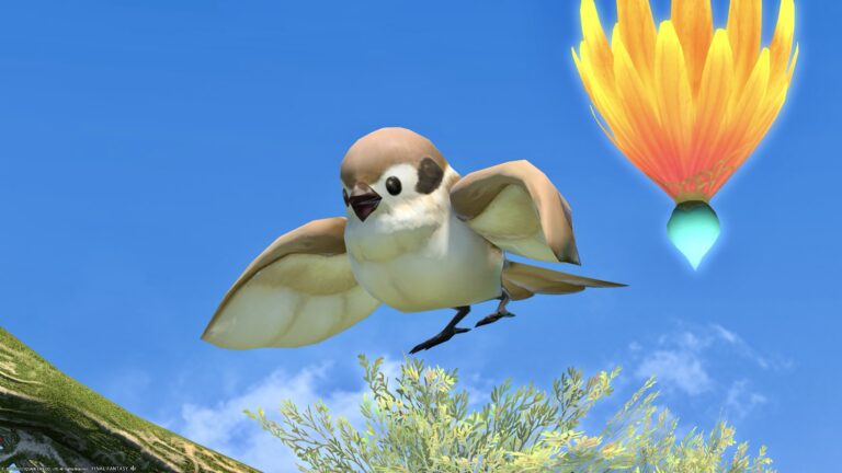 A super cute little adventurer! Sparrow Minion "Road Sparrow" Lalafell FF14 Blog Norirow Note 38