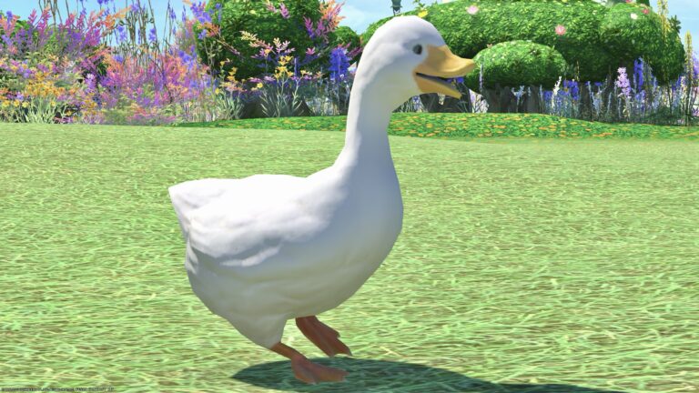 何事にも保険をかける可愛いアヒルの子のミニオン『アグリー・ダックリング』 ララフェル FF14ブログ Norirow Note 34