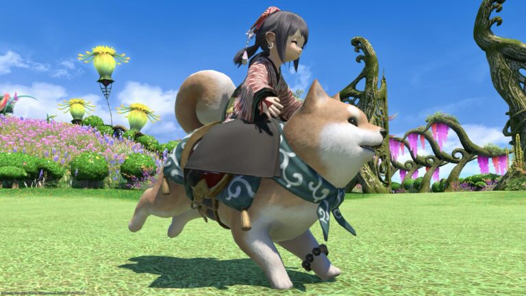 喜怒哀楽の表情が豊かで可愛い大きな豆柴のマウント『大柴犬』 ララフェル FF14ブログ Norirow Note 33