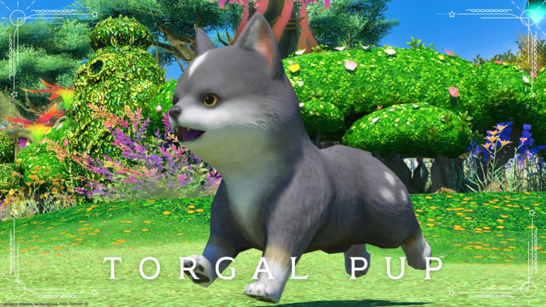 puppy? kitten? FF16 collaboration cute wolf minion “Torgal Pup” Lalafell FF14 Blog Norirow Note 33