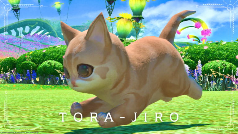 Too cute brown tabby kitten minion “Tora-jiro” Lalafell FF14 Blog Norirow Note 27
