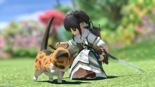 img_1163-1 ララフェル FF14ブログ Norirow Note 20