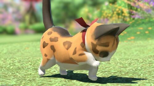 img_1172-1 ララフェル FF14ブログ Norirow Note 20