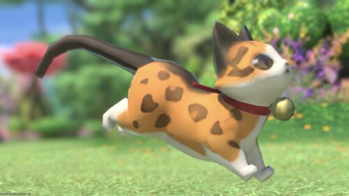 img_1181-1 ララフェル FF14ブログ Norirow Note 20