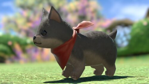 img_1217-1 ララフェル FF14ブログ Norirow Note 20