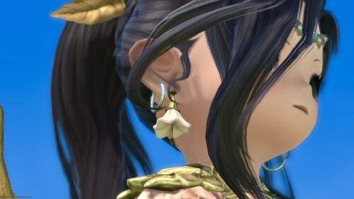img_1903-1 ララフェル FF14ブログ Norirow Note 20