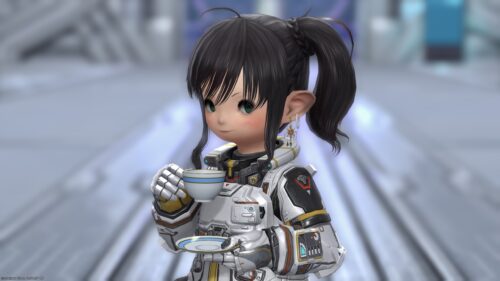 img_2252-1-1 ララフェル FF14ブログ Norirow Note 20