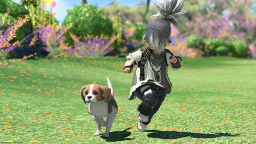 img_2675-1-1 ララフェル FF14ブログ Norirow Note 20