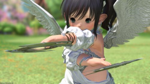 img_2842-1-1 ララフェル FF14ブログ Norirow Note 20