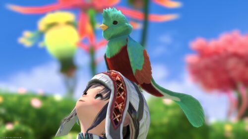 img_3014-1 ララフェル FF14ブログ Norirow Note 20