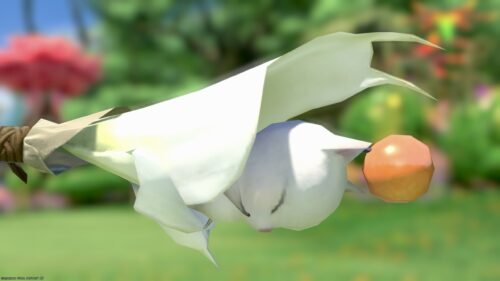 img_3457-1 ララフェル FF14ブログ Norirow Note 20
