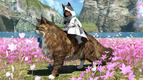 img_7485 ララフェル FF14ブログ Norirow Note 20