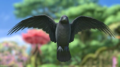 img_7533 ララフェル FF14ブログ Norirow Note 20
