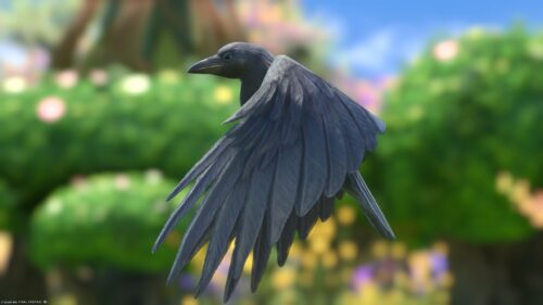 img_7535 ララフェル FF14ブログ Norirow Note 20