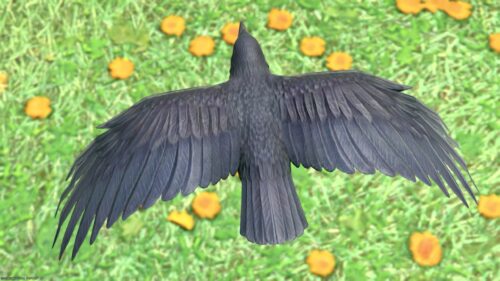 img_7540 ララフェル FF14ブログ Norirow Note 20