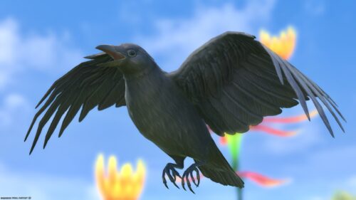 img_7558 ララフェル FF14ブログ Norirow Note 20