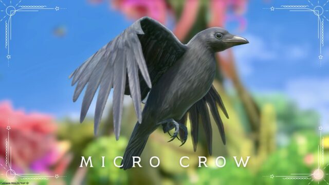 Micro Crow, a crow-like minion that sits on your head (The Meso Terminal) Lalafell FF14 Blog Norirow Note 20