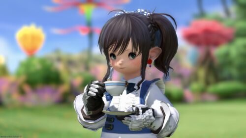 img_0595-1 ララフェル FF14ブログ Norirow Note 20