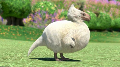 img_0974 ララフェル FF14ブログ Norirow Note 20