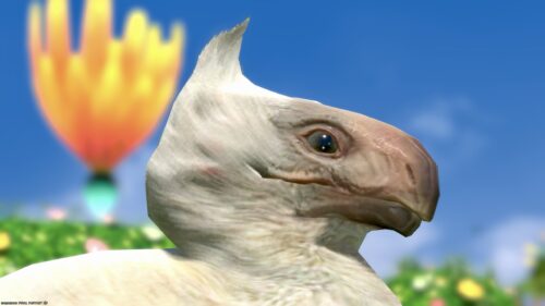 img_0975 ララフェル FF14ブログ Norirow Note 20