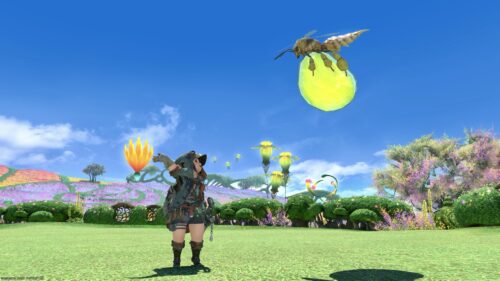 img_1359-1 ララフェル FF14ブログ Norirow Note 20